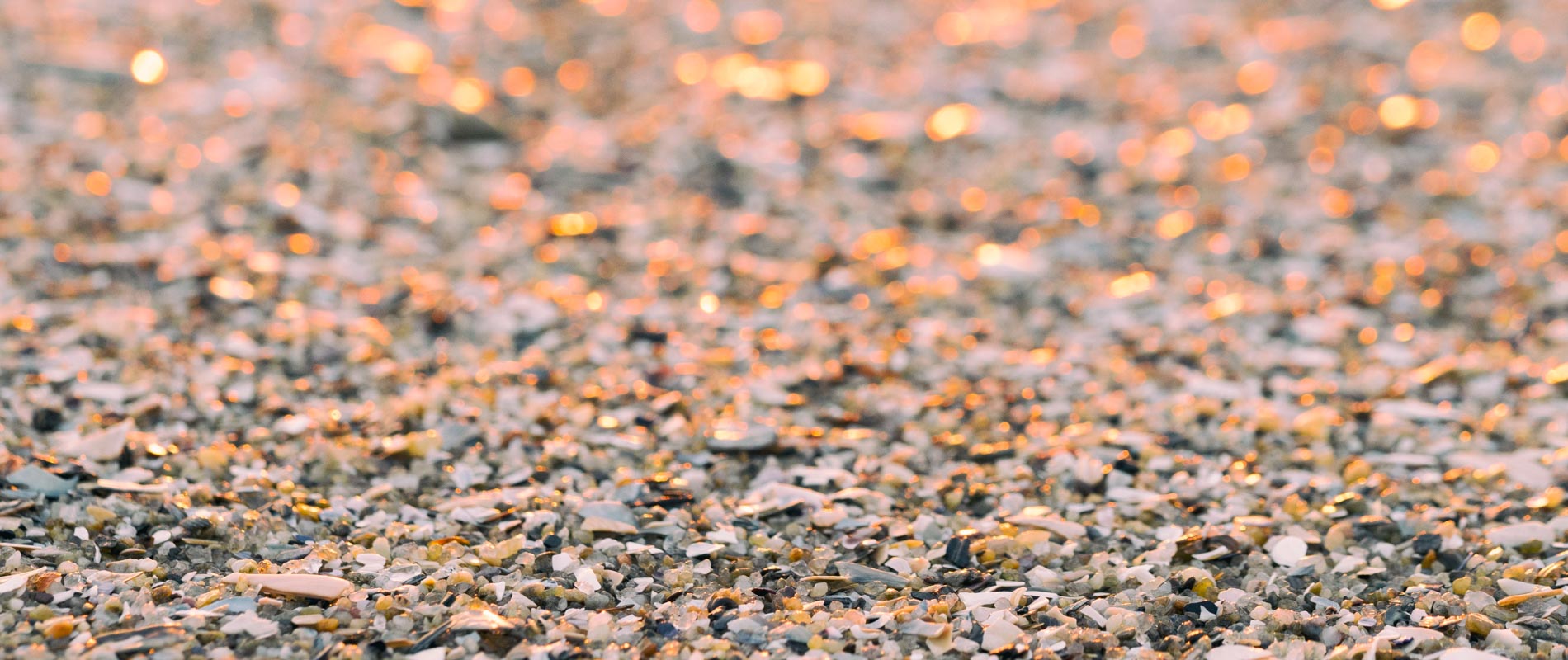 Her Voice, Your Journey Blog